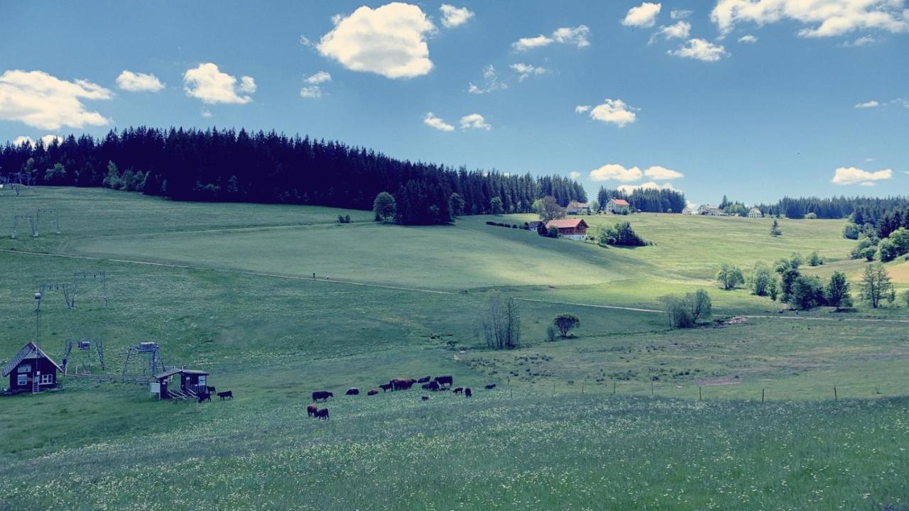 Apartamento Daheim Im Hirschen Schönwalde Exterior foto
